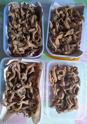 Foto resep Usus Ayam Crispy