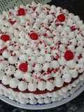 Bolo Red Velvet