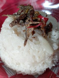 Foto resep Nasi Gurih Magic Com