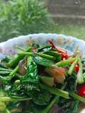 Kailan Goreng Cencaluk