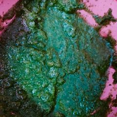 A picture of Mint sauce.