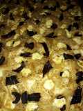 Focaccia Gourmet