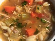 A picture of chicken orzo soup