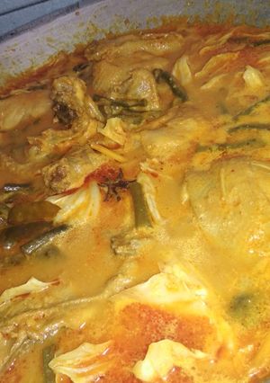 Foto resep Gulai sayur kol ayam padang