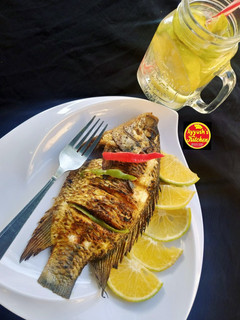 Grilled tilapia fish /gasashshen kifi karfasa ainihin hoton girkin