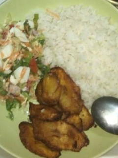 A picture of Rice & salad with chicken.
