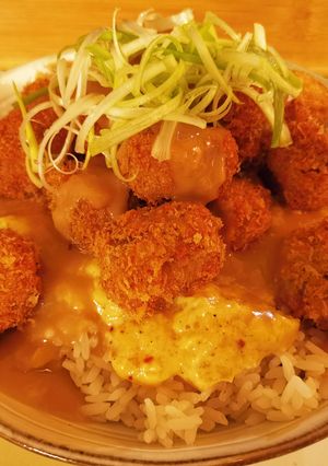 Une photo de Katsudon Cuisson Lente