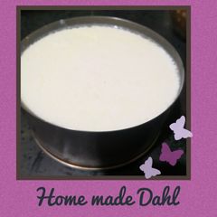 A picture of Homemade Dahi.