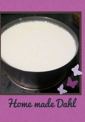 A picture of Homemade Dahi.