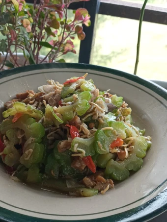 Langkah Gampang Membuat Resep Tumis pare tempe teri (tidak pahit) yang Bikin Ngiler Anti Ribet, Mantap