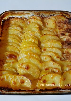 Une photo de Gratin dauphinois 🍴