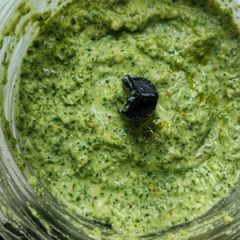 A picture of My Radish Leaf Pesto.