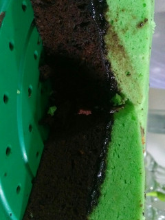 Foto resep Brownies Lembut Putih Telur