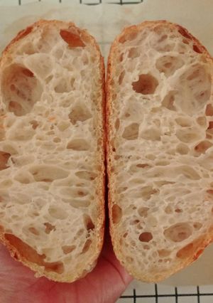 Foto resep Basic Sourdough Bread 96% (Oven Tangkring)