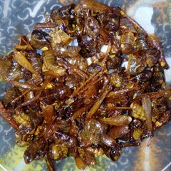 A picture of Chilli grasshopper(fara mai yaji).