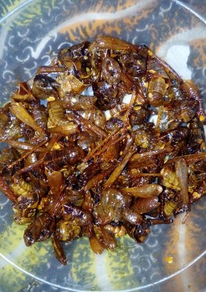 A picture of Chilli grasshopper(fara mai yaji).
