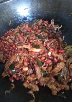 Foto resep Sambal Teri Kacang Tempe