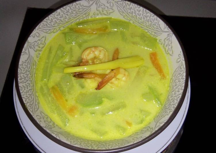 Resep Sayur santan  labu siam yang Enak