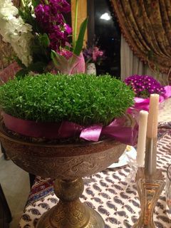 عکسی از دستور سبزه عید
