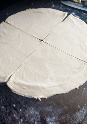 A picture of Samosa(potato filling).