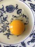 251 California Farm Fresh Egg Test