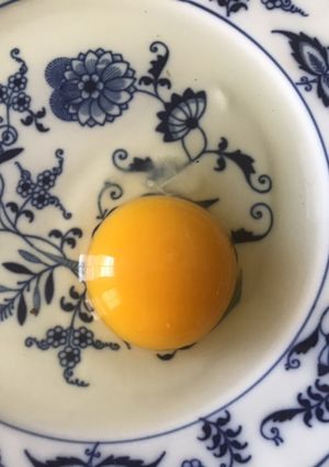 A picture of 251 California Farm Fresh Egg Test.