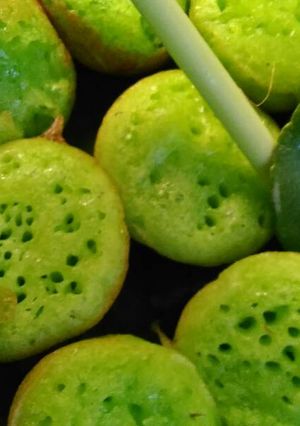 Foto resep Bika ambon ijo
