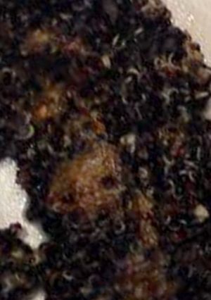 Una foto de Quinoa negra con almendras y anacardos