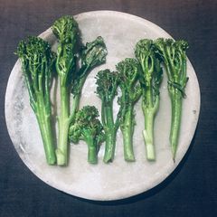 A picture of Tenderstem broccoli trees 🌱🌳.