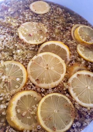 Bodzaszörp recept fotója