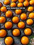 Nastar Glowing Dengan Olesan Putih Telur