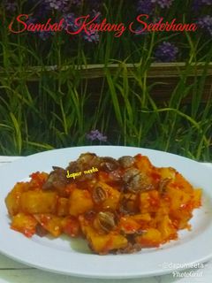 Foto resep Sambal kentang sederhana