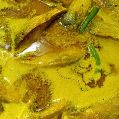 Hilsha mustard curry A picture of Hilsha mustard curry.