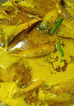A picture of Hilsha  mustard  curry.