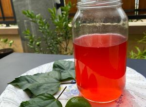 Foto resep Sirup Bunga Sepatu