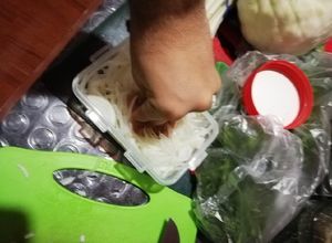 Una foto de Conserva rápida de cebollita casera_ vegan