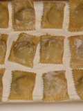 Tortelli di erbette