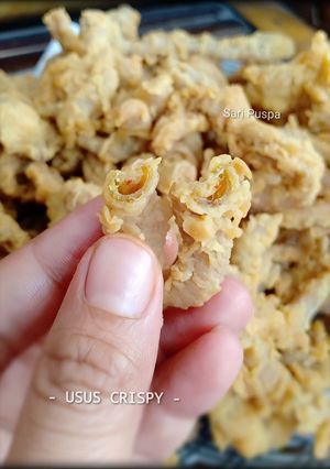 Foto resep Usus Crispy