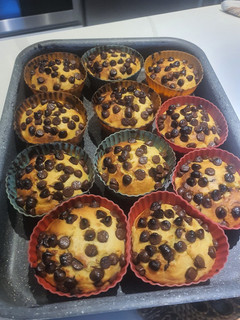 A picture of Orange Cup Cakes 🍊 with chocolate chip.