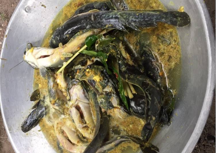 Langkah Mudah untuk memasak Mangut Lele Bumbu Kuning Lezat