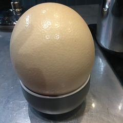 A picture of Boiled Egg XXL.