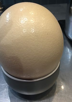 A picture of Boiled Egg XXL.