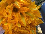 Flor de calabaza en salsita