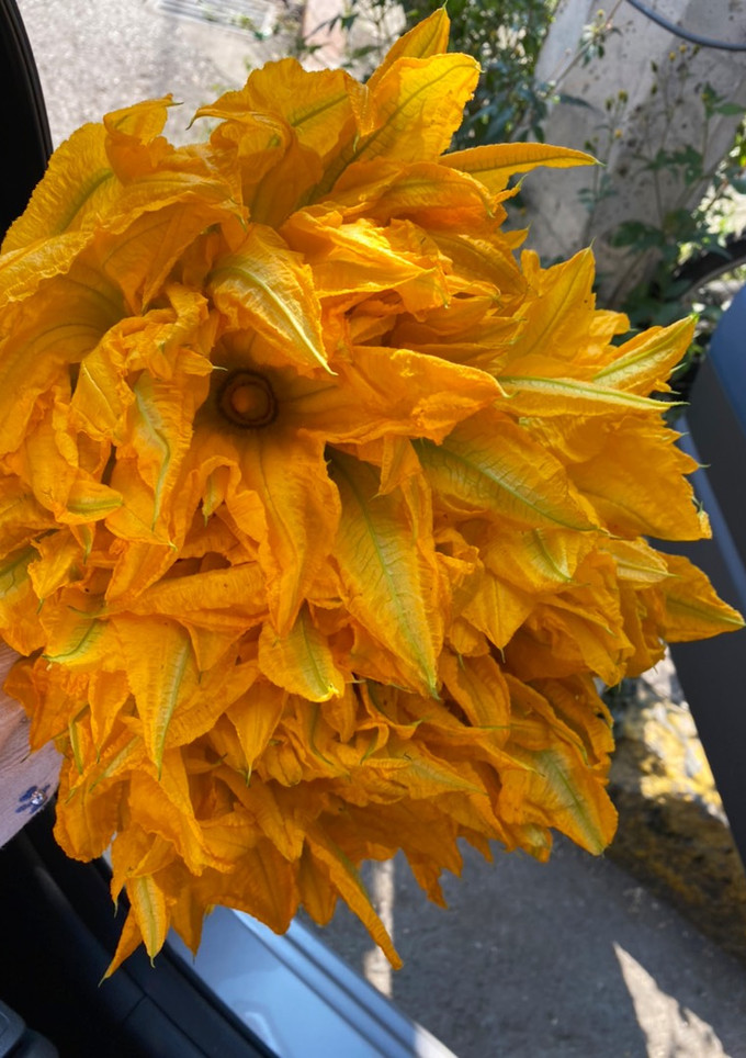 Una foto de Flor de calabaza en salsita
