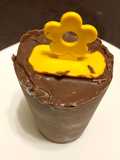 Helado cubierto de chocolate en vasito 🍦🍫