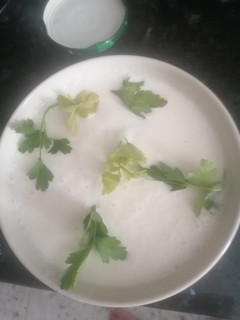 Una foto de Crema fría de espárragos