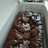 Brownies Panggang Fudgy, Chewy dan Legit