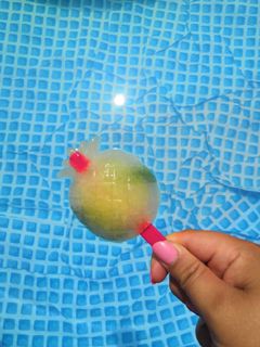 Une photo de Glace à l'eau citron / menthe