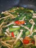Ayam Jamur Pokcay