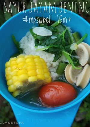 Foto resep Sayur bayam bening - MPASI 15 bulan - mpasi 4 bintang
